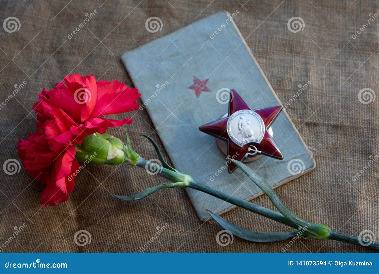 the red carnation, the soldierÃ¢â¬â¢s book, the order of the red star on the canvas. close-up. may 9